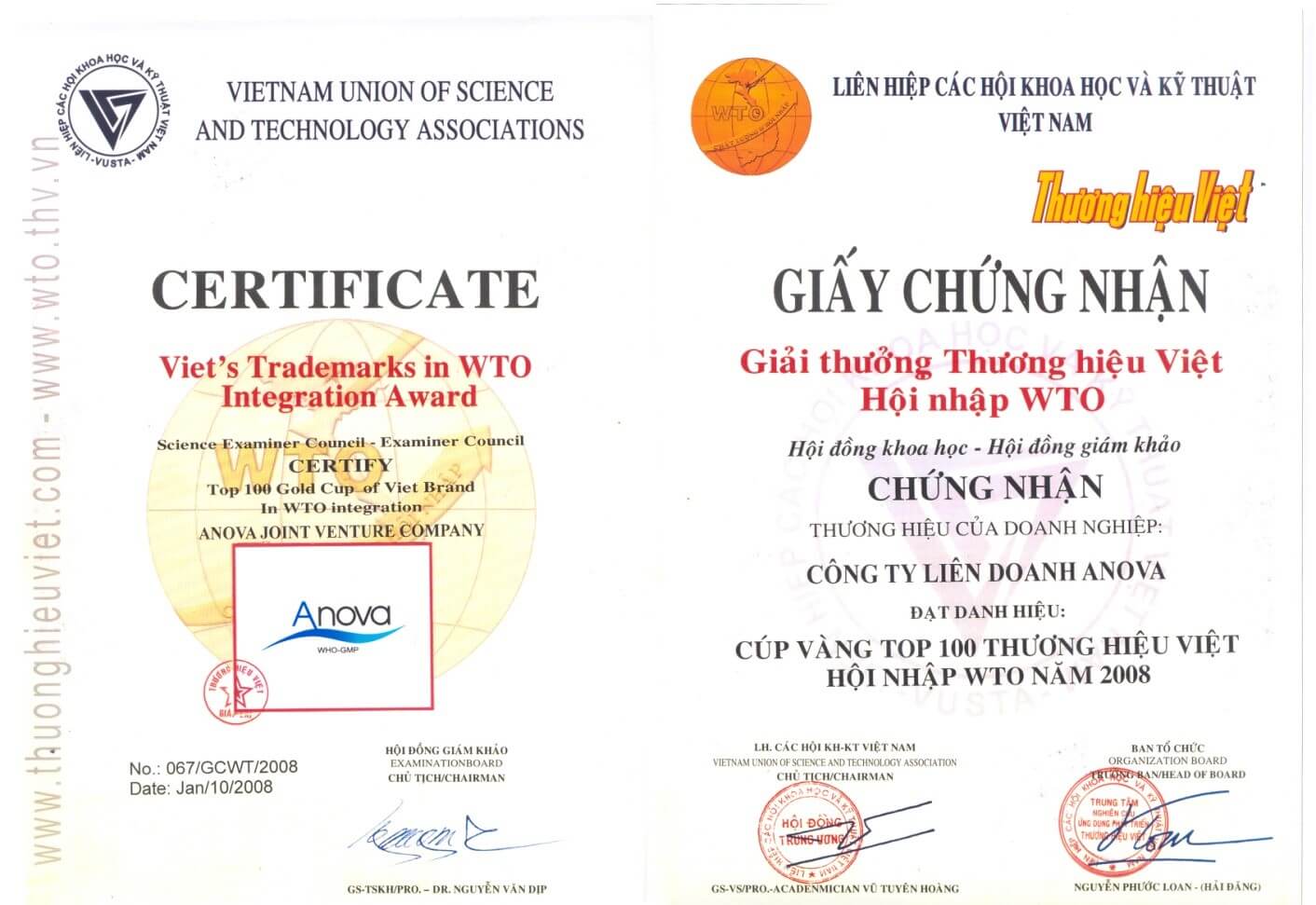 Certificate of "Golden Cup - Top 100 Vietnamese brands in WTO integration in 2008"