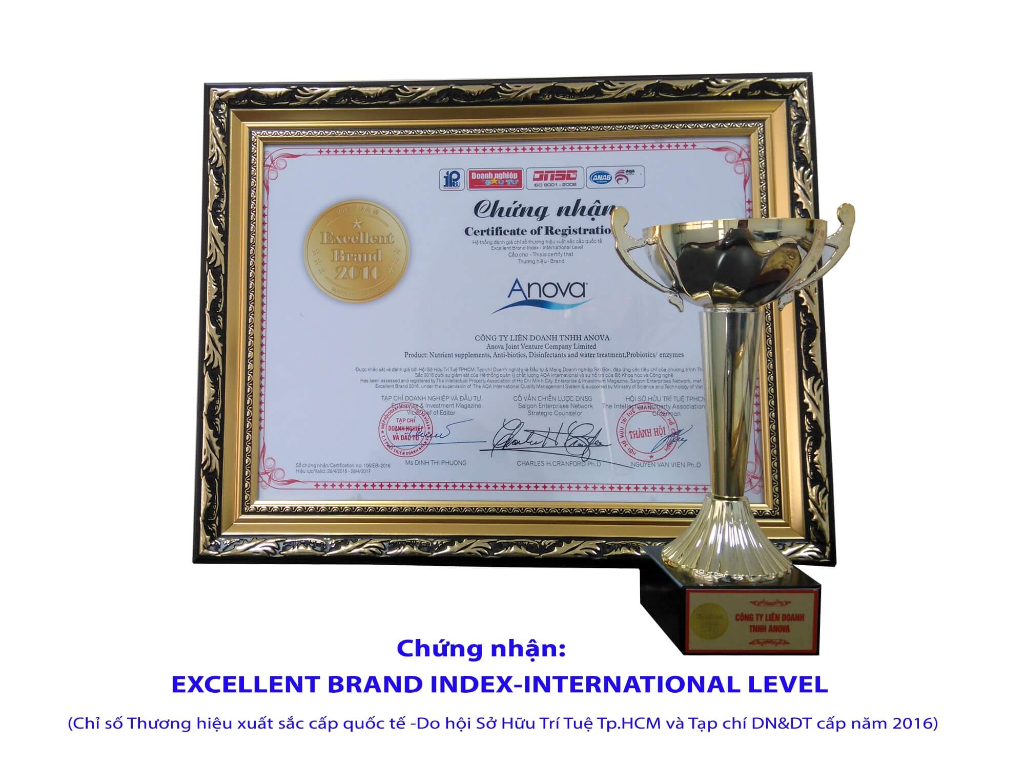Chứng nhận: Excellent Brand Index-International Level (Chỉ số Thương hiệu xuất sắc cấp quốc tế - Do hội Sở Hữu Trí Tuệ TP.HCM và Tạp chí DN&DT cấp năm 2016)