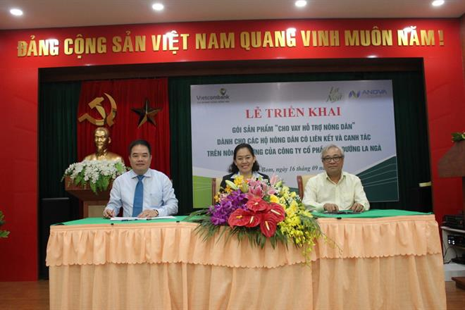 Vietcombank Đông Đồng Nai cho vay hỗ trợ hộ nông dân liên kết với Công ty Cổ phần Mía Đường La Ngà