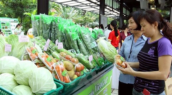 Giai đoạn 2021-2025: Hà Nội sẽ hỗ trợ phát triển xây dựng 50 chuỗi liên kết sản xuất nông nghiệp