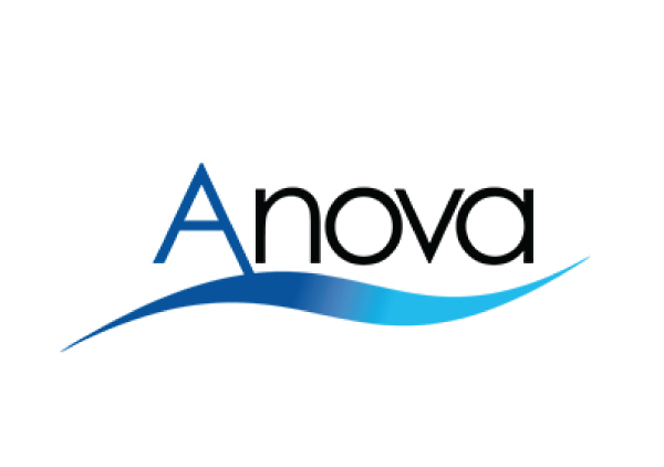 ANOVA JOINT VENTURE <BR />  COMPANY LIMITED